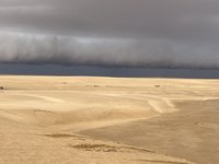 IMG_6812.jpeg