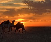IMG_6735.jpeg