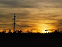 IMG_20241105_160846.jpg