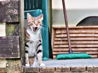 IMG_9666 v (2).webp