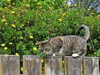 IMG_9820 v (2).webp