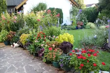 Terasse             3824.webp
