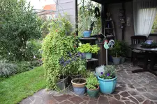 Terasse             5824.webp