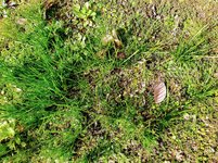 IMG_20220316_105125_1~2.jpg