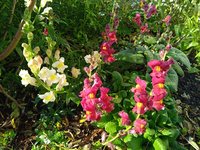 IMG_20241110_101527_1.jpg