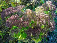 IMG_20241110_102430.webp