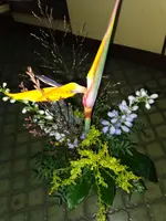 IMG_20240116_090047.webp