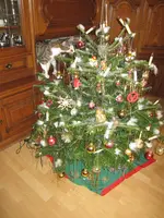 IMG_2078.webp