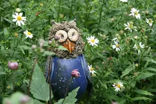 Eule0117.webp