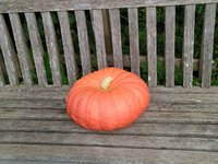 IMG_20240908_122127.jpg