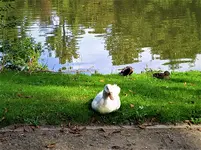 IMG_20200915_131538_1.webp