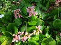 IMG_20240324_135329.webp