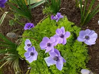 IMG_20240509_121245.webp