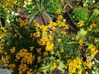 IMG_20240509_122109.webp