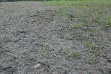 R GN nöB 20230405.webp