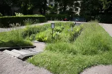 2010Linne4.webp
