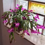 IMG_3174.webp