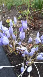 20241114_134412.webp