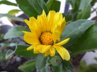 030.webp