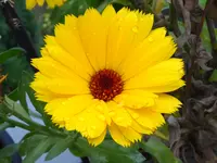 053.webp