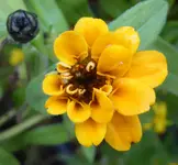 043.webp