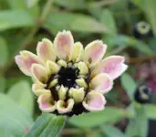 040.webp