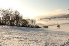 20220110161008_IMG_0323.webp 20220110161008_IMG_0323.webp