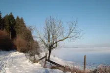 20220110160002_IMG_0314.webp 20220110160002_IMG_0314.webp