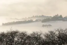 20220110160208_IMG_0317.webp 20220110160208_IMG_0317.webp