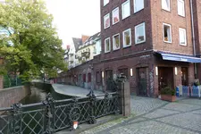 8.webp