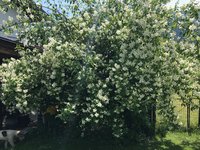 IMG_0155.jpeg