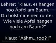 c61365d88db0bbfc21723b929f648799 (1).webp