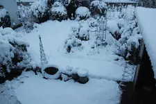 Dezember   0823.webp