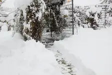 Dezember   2723.webp