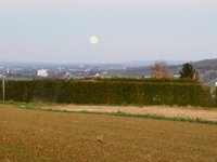 IMG_20241116_162520.jpg