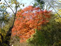 P1060187.webp