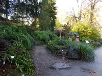 P1060234Blick ins Farntal.webp