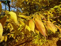 P1060260.webp