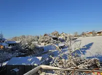20241122_084932.webp