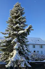 20241122_085013.webp