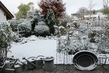 Nov.        0924.webp