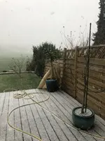 5E23126E-3576-407B-B329-B759E846FB47.jpeg