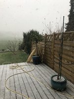 5E23126E-3576-407B-B329-B759E846FB47.jpeg