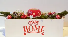 005.webp
