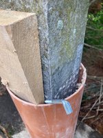 Beton-Pfosten reparieren*Zaun-Pfosten-A*05.jpg