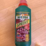 IMG_20241123_162242.jpg