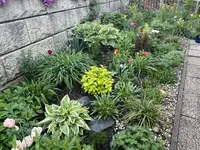 IMG_5134.webp IMG_5134.webp