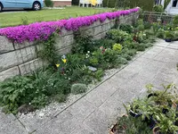 IMG_5131.webp IMG_5131.webp