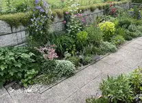 IMG_5729.webp IMG_5729.webp