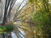 005.webp